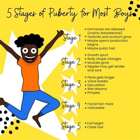 teen sex bilder|Stages of Puberty Explained in Pictures